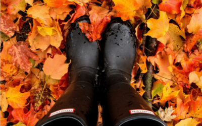 4 Fall Safety Tips to Keep in Mind This Season