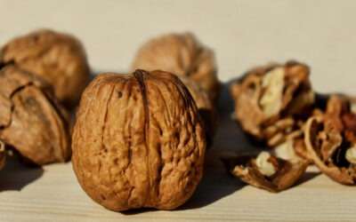 Health Food Spotlight: Walnuts